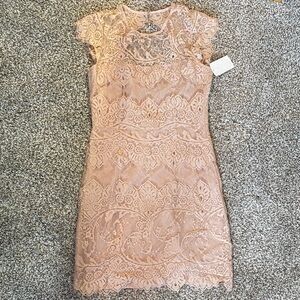 BB Dakota Lace Mini Dress in Soft Pink